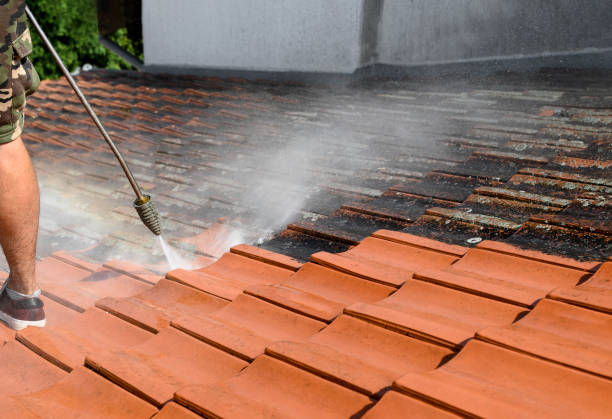 Best Local Pressure Washing Services  in Gibbstown, NJ